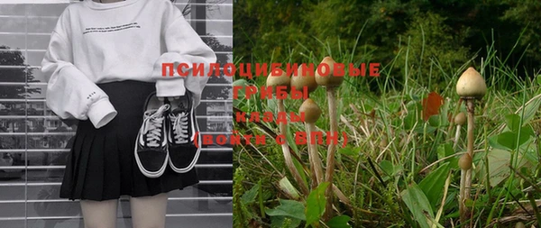 мескалин Богородицк