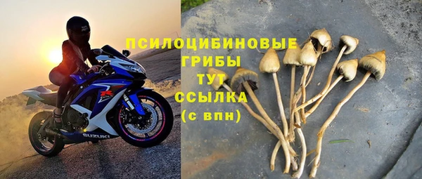 мескалин Богородицк